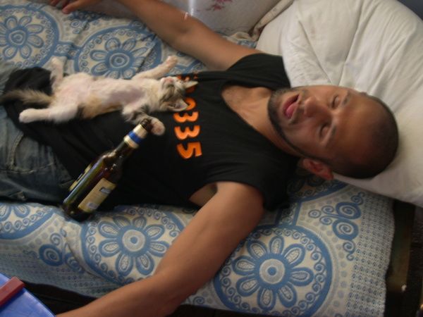 пьяный мужик спит с котом